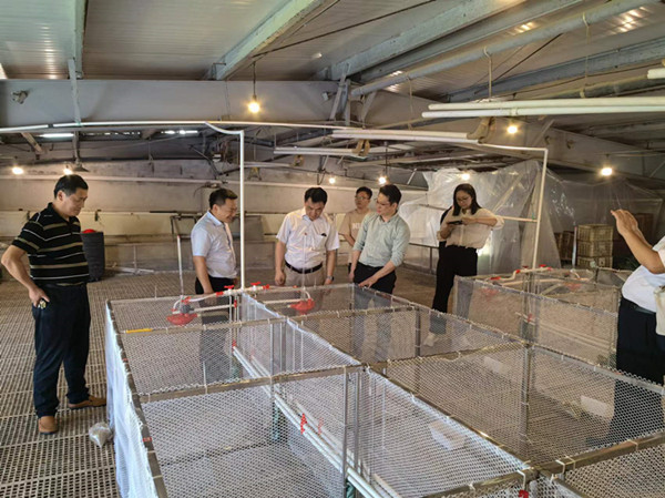 “高郵鴨優(yōu)異基因挖掘及節(jié)糧肉用新品系選育”項(xiàng)目觀摩和推進(jìn)會(huì)在高郵鴨集團(tuán)召開(kāi)(2)_副本.jpg